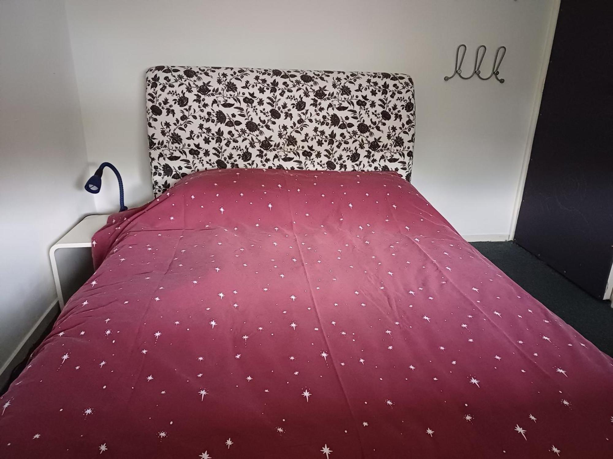 Gehele Woning In Nuenen Διαμέρισμα Εξωτερικό φωτογραφία